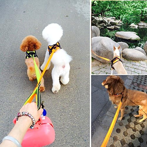 Creation Core Reflective Dog Leash Durable Padded Pet Leash Strap For Puppy Pet Leash Rope, Orange 6.5Ft Long 1' Wide