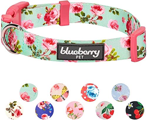 Blueberry Pet 7 Patterns Spring Scent Inspired Floral Rose Print Turquoise Adjustable Dog Collar, Large, Neck 18-26