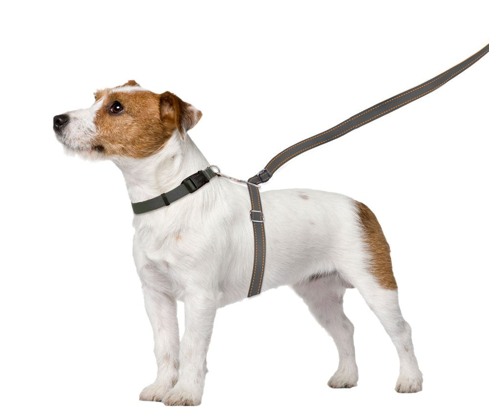 ThunderLeash No-Pull Dog Leash (Large (Over 25 lbs), Grey)