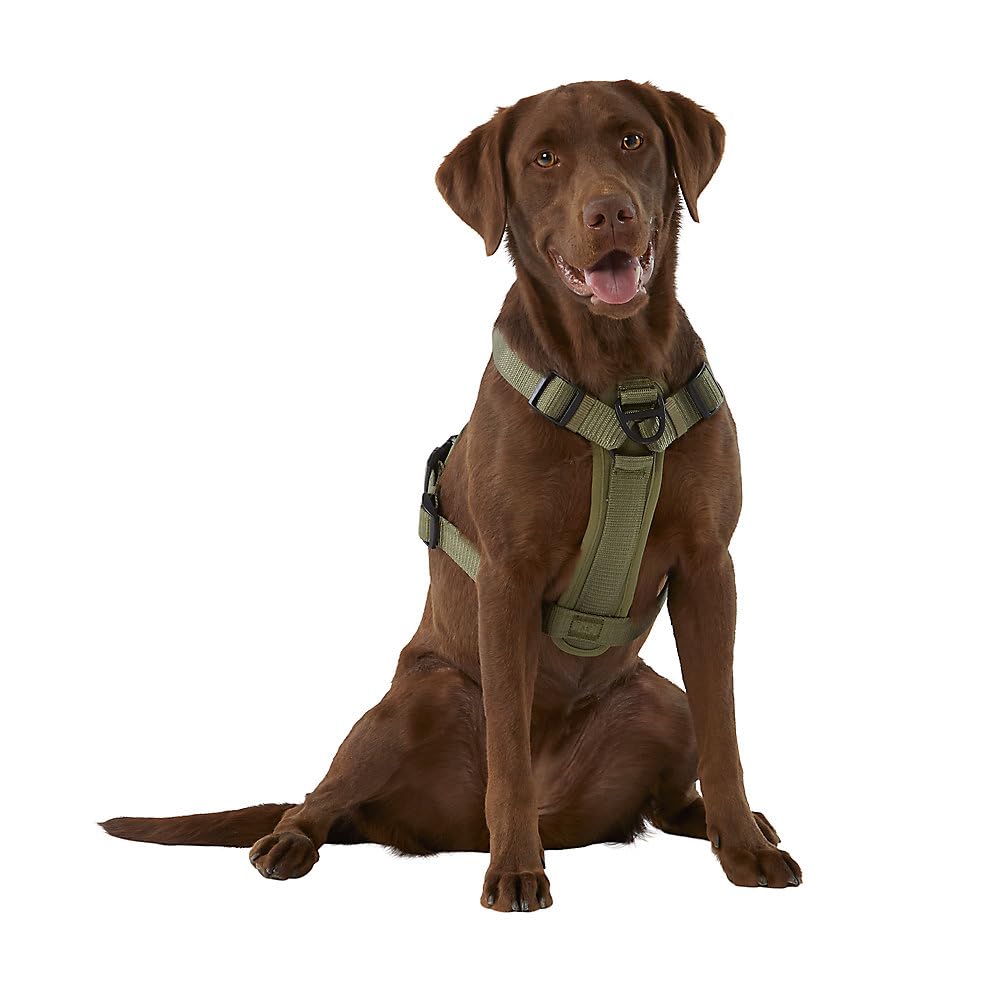Kong Ultra Durable Waste Bag Harness (Large, Green)