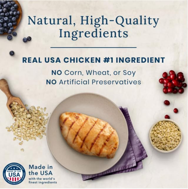 Blue Buffalo BeneBars Immune Support Dog Treats with Vitamins C & E, Made with Natural Ingredients, USA Chicken & Mixed Berries,