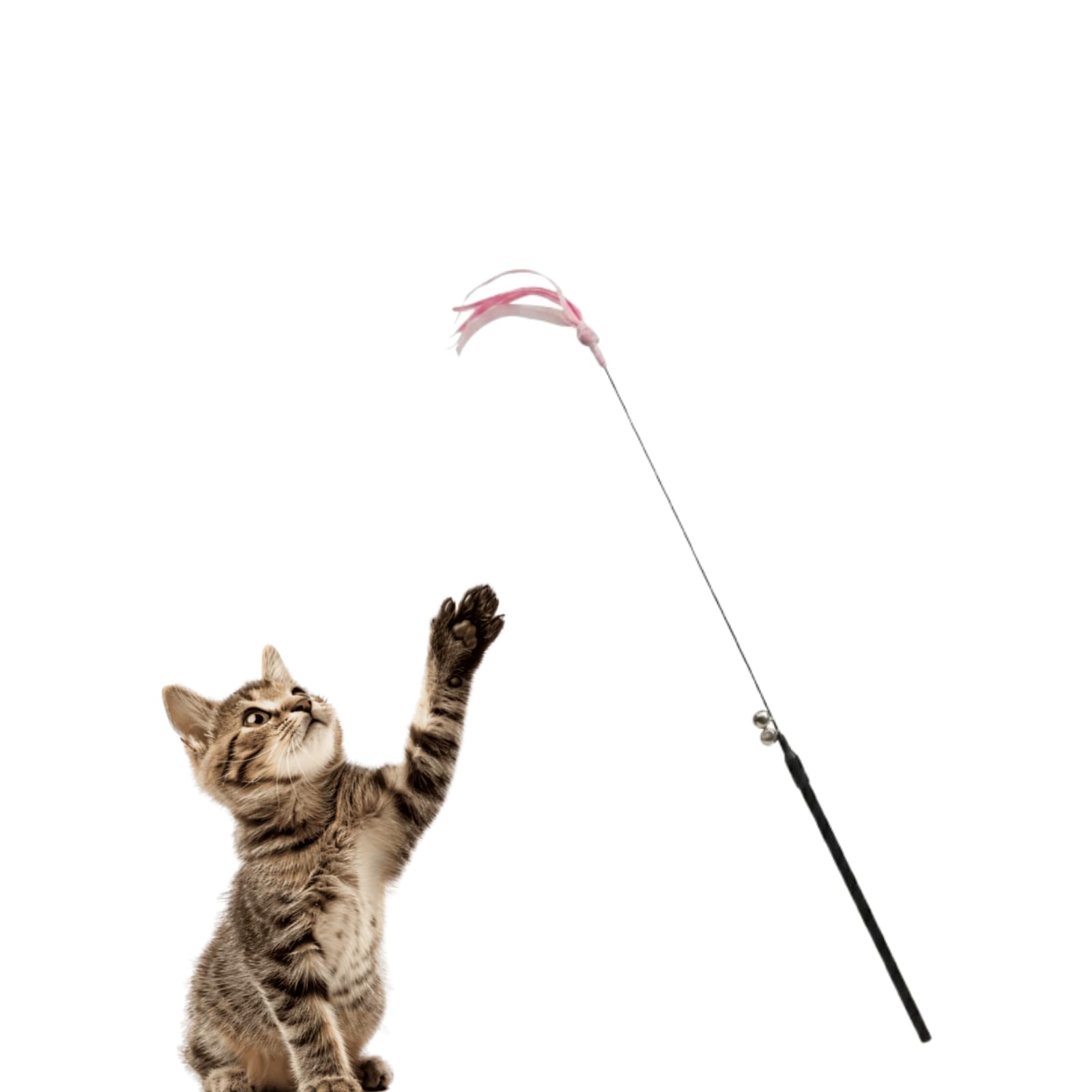 Bohobark Cat Teaser Stick Cat Wand Toy For Cats And Kittens  (Size  50Cm), Interactive Feather Teaser, Playing & Training Toy