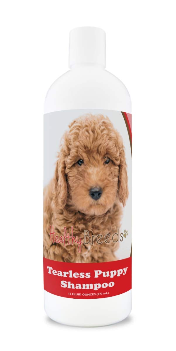Healthy Breeds Goldendoodle Tearless Puppy Dog Shampoo 16 Oz