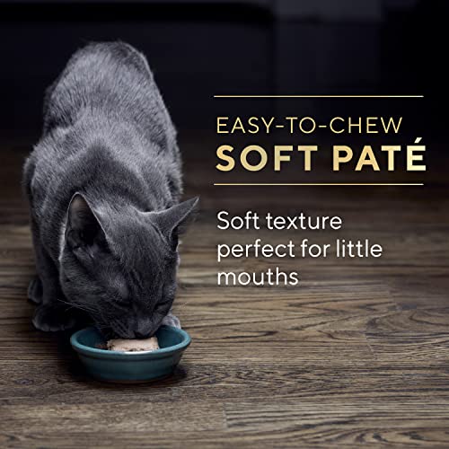 Sheba Perfect Portions Kitten Wet Cat Food Pate Chicken Entree and Salmon Entree, 2.6 oz. Twin-Pack Trays (12 Count, 24 Servings