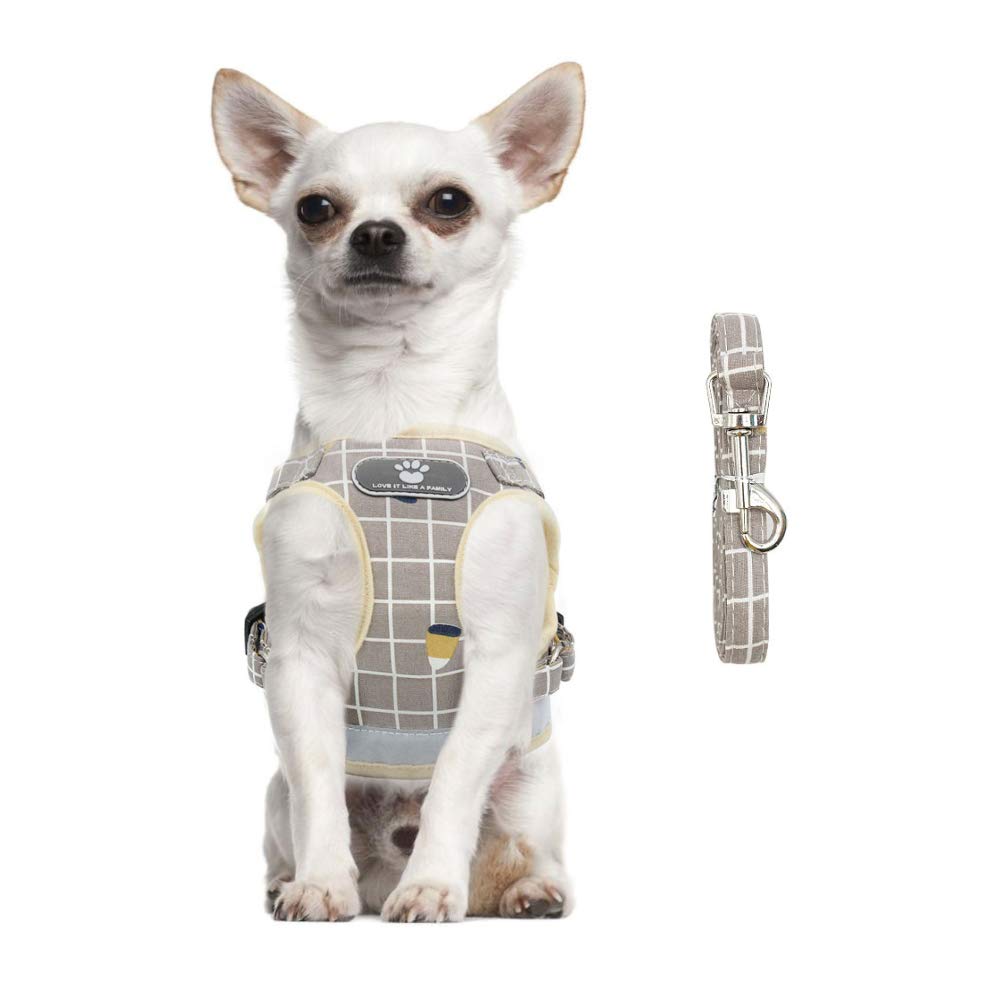 Feimax Dog Harness And Leash Set, No-Pull Breathable Soft Mesh Puppy Vest Harness Reflective Adjustable Pet Harnesses For Small Medium Dogs And Cats - Outdoor Easy Control For Walking