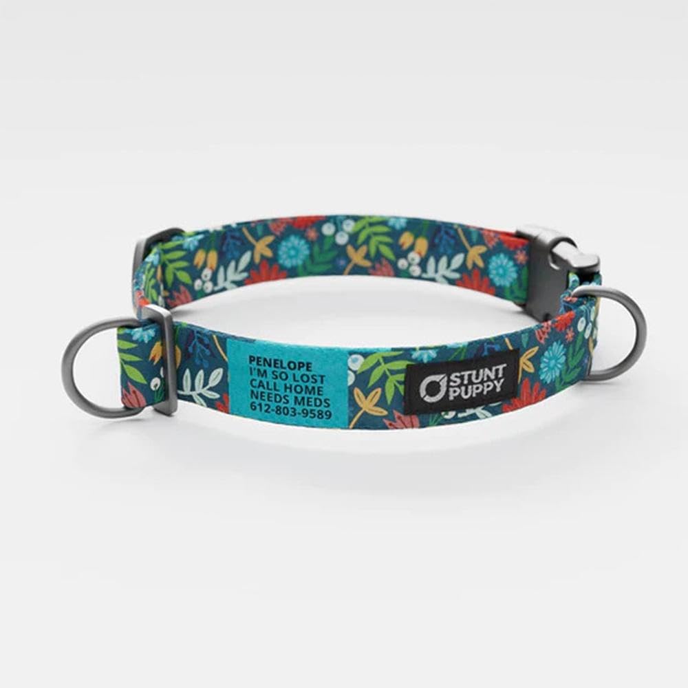 Frolic Fall Everyday Collar Medium