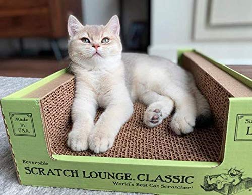Original Scratch Lounge Cardboard Cat Scratcher & Lounger, XL 13"x22", Durable, Reversible Floor, Catnip Included