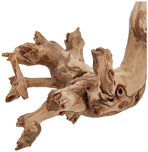 Exo Terra Large Forest Branch - Natural Wood, Model PT3077A1 for Terrariums