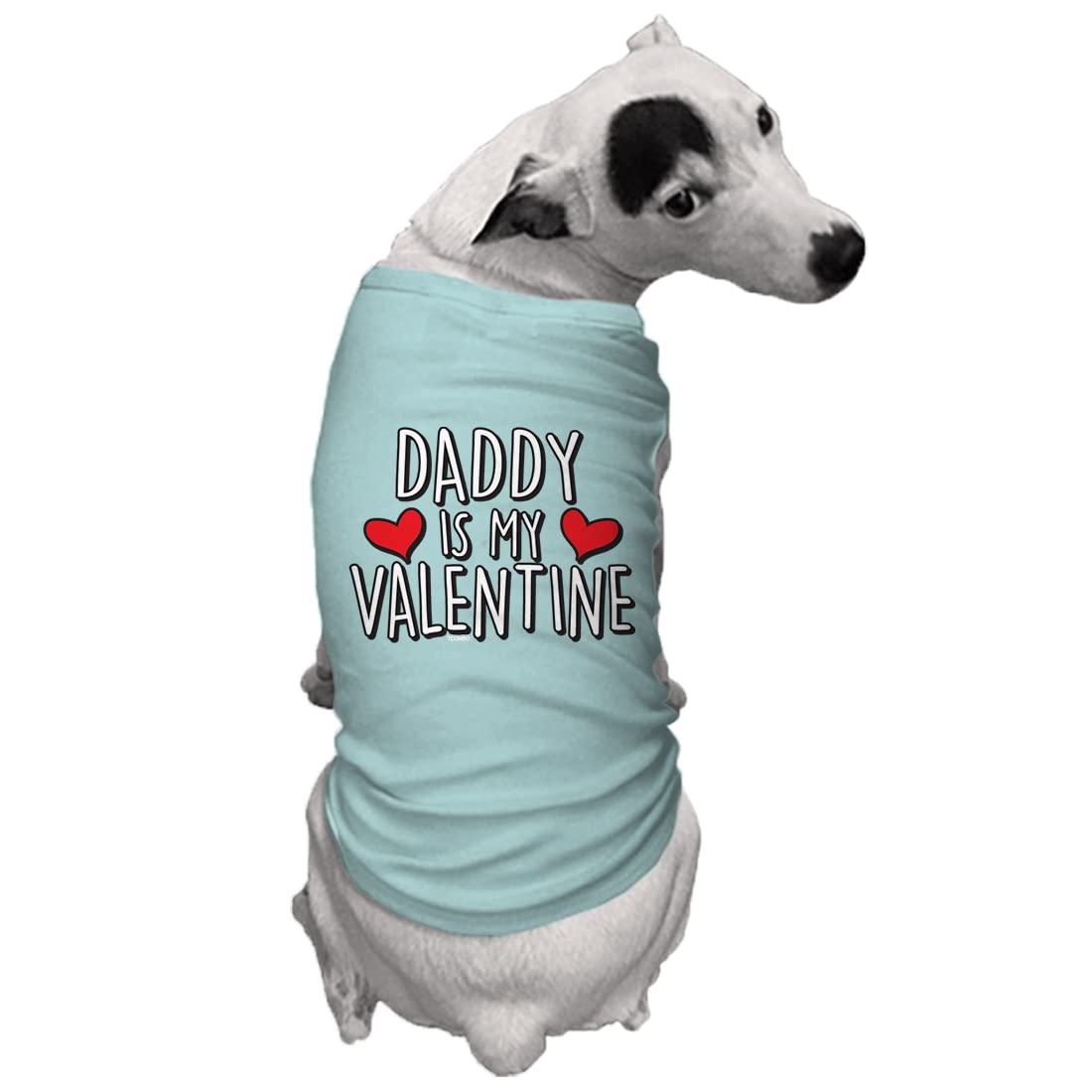 Daddy Is My Valentine Dog Shirt (Chill, 2X-Large)