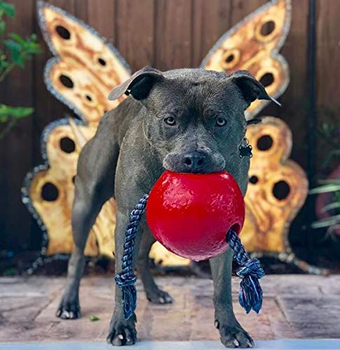 Jolly Pets Romp-N-Roll Rope And Ball Dog Toy, 6 Inches/Medium, Red (606 Rd)