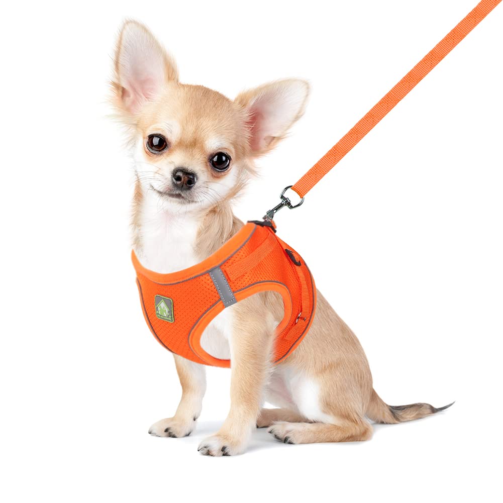 Feimax Dog Harness And Leash Set, No-Pull Breathable Soft Mesh Puppy Vest Reflective Adjustable Pet Harnesses For Small Medium Dogs And Cats - Outdoor Easy Control For Walking