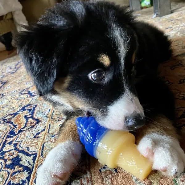 Cool Pup Cooling Toy (Ice Cream (Mini), Blue)
