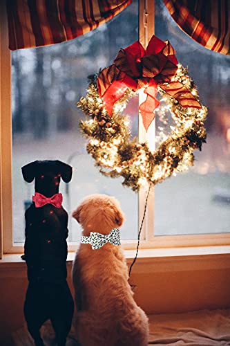 Elegant Little Tail Dog Collar With Bow, Soft And Comfy Bowtie Christmas Dog Collar, Adjustable Pet Gift Puppy Collars For X-Small Dogs And Cats