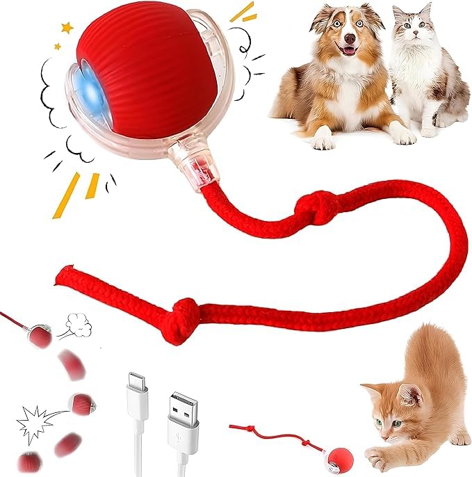 Tallin Interactive Cat Toy Ball With Rope, Smart Automatic Rolling Pet Ball For Dogs And Cats, Usb Rechargeable Chase Toy (Pack 