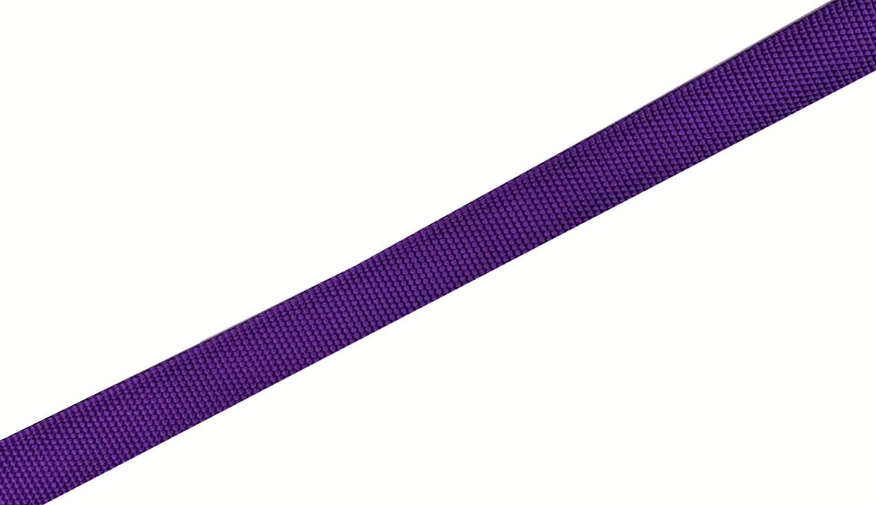 Nylon Dog Leash 8 Feet Long, Walking Training Dog Leashes For Medium Large Dogs(1'' X 8 Ft, Purple)