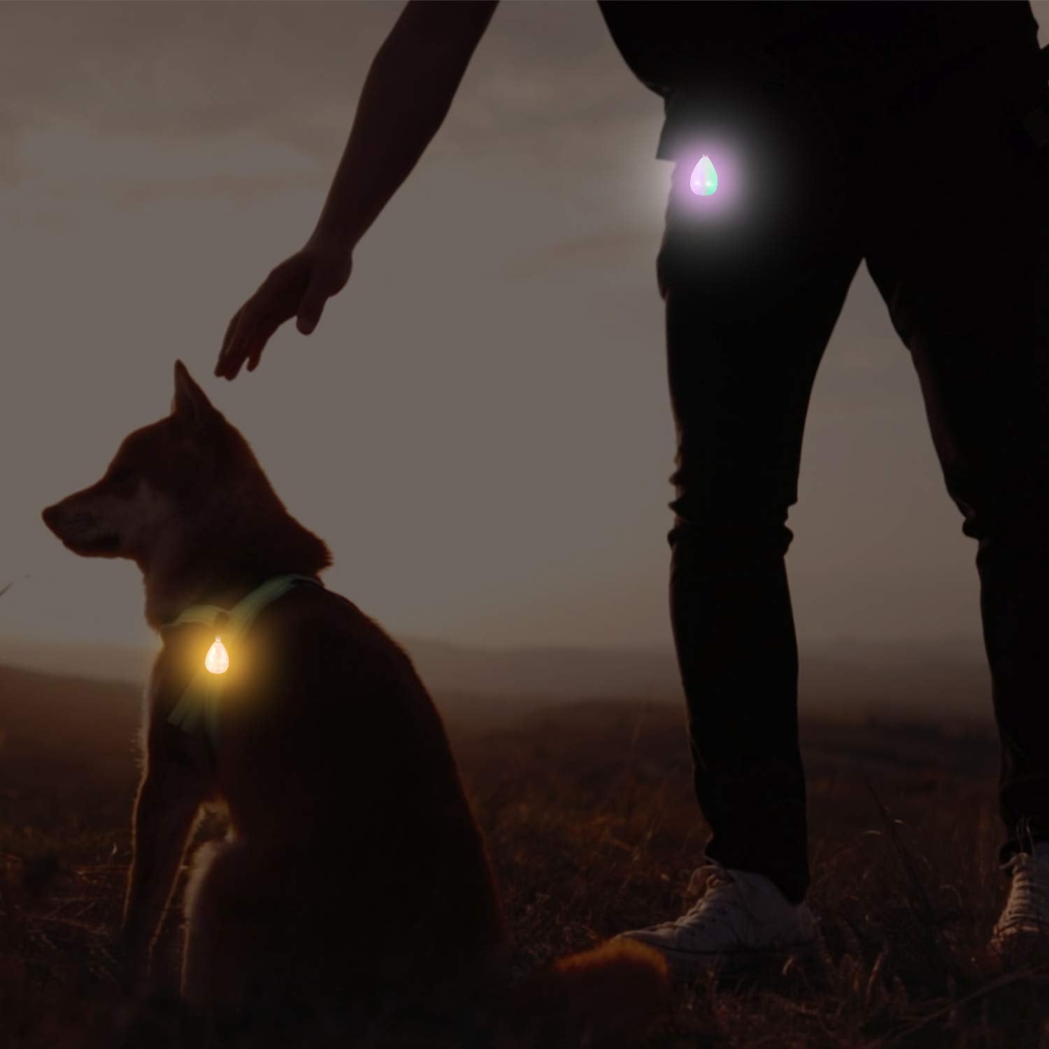 Novkin 2-Pack Rechargeable Dog Light, Dog Collar Light,Waterproof,3 Modes LED Dog Safety Lights,Multiple Color Options,Clip On C