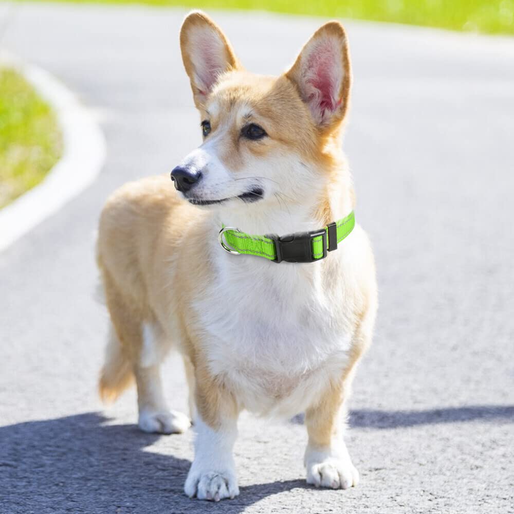 Taglory Reflective Adjustable Dog Collars For Puppy Small Medium Large Dogs, Thin Nylon Webbing And Quick Release Plastic Buckle(Green Medium)