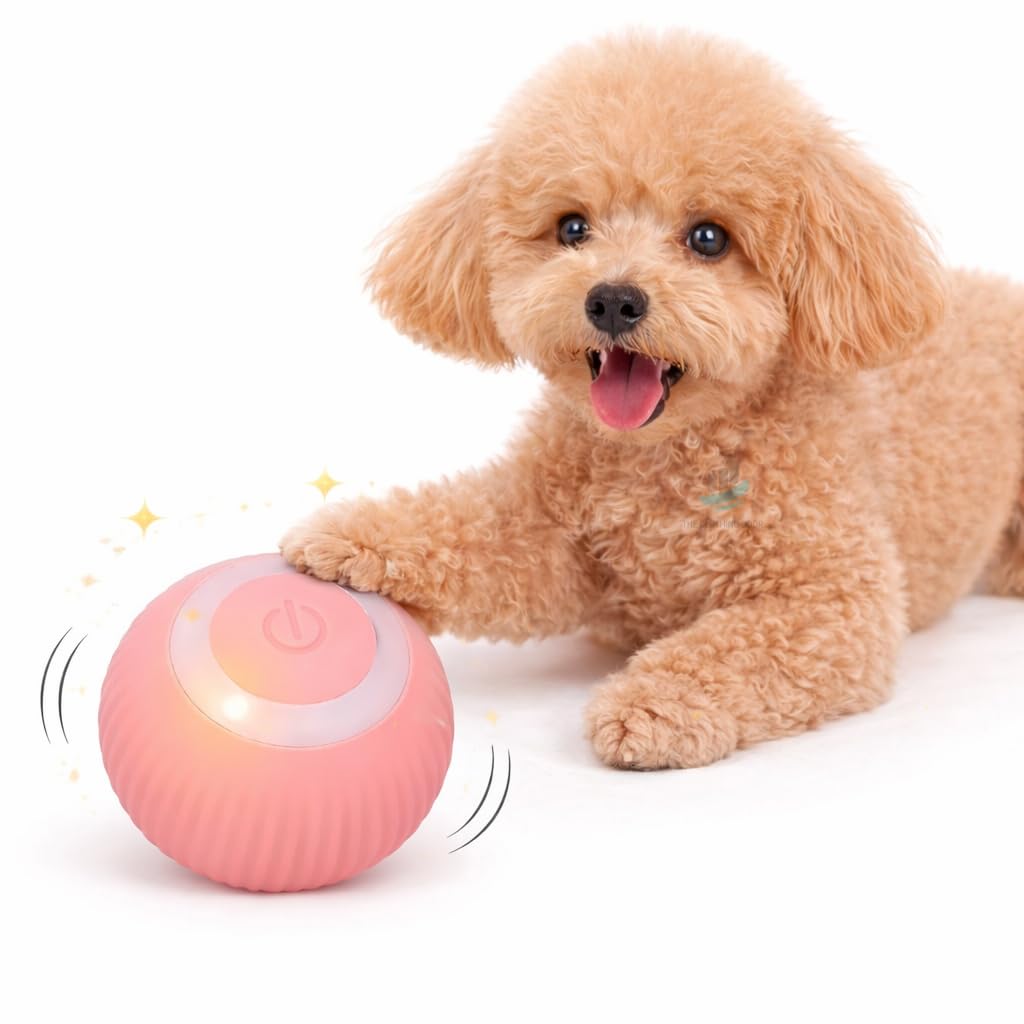 The Clothing Door Smart Led Automatic Rolling Ball Cat Toy | Usb Rechargeable 360 SelfRotating Interactive Pet Toy With Rgb Lig