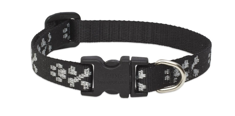 LupinePet Originals 1/2 Bling Bonz 6-9 Adjustable Collar for Extra Small Dogs