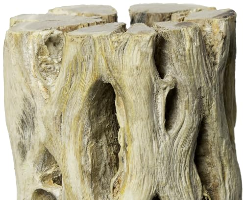 Galapagos 05272 Cholla Wood For Aquarium 24 Natural