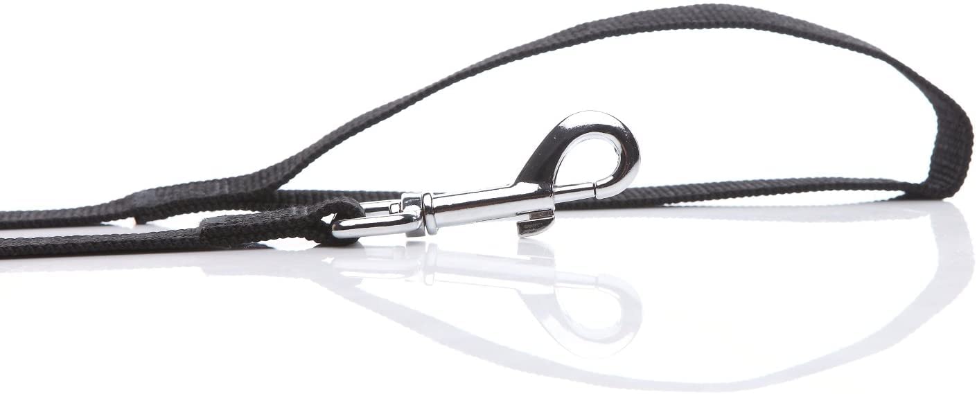 Nylon Dog Leash 8 Feet Long, Walking Training Dog Leashes For Medium Large Dogs(1'' X 8 Ft, Black)
