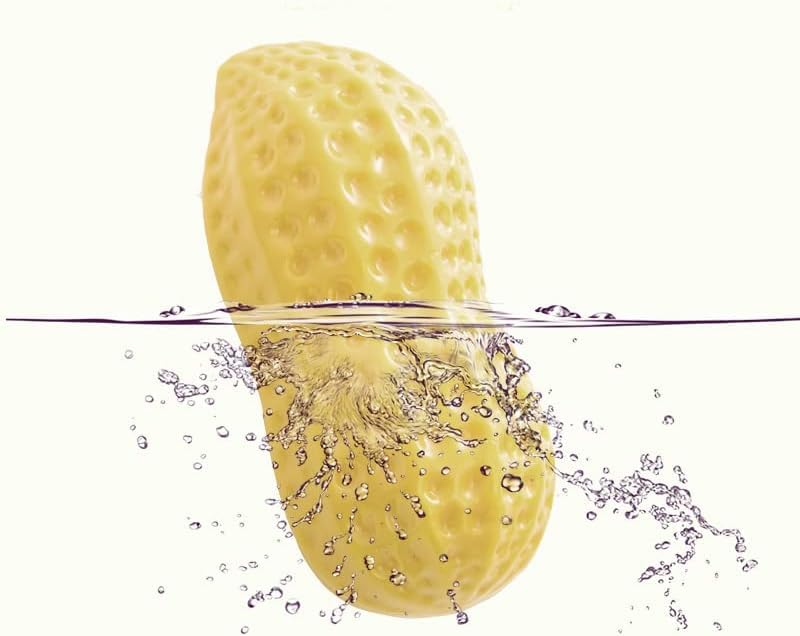 Kittupet Squeaky Rubber Peanut Dog Toy, Puppy Chew Toy For Teething, Dog Stuff, Dog Toy For Small Togs, Dog Chew Toy, Puppy Teet