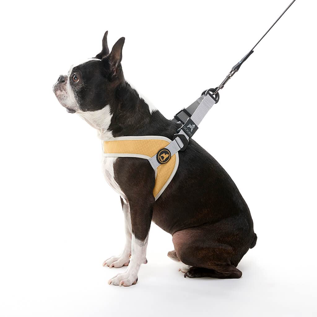 Gooby Simple Step in III Harness - Yellow, Small - Small Dog Harness with Scratch Resistant Outer Vest - Soft Inner Mesh Harness