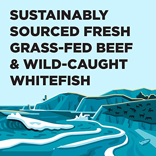 BIXBI Liberty Grain-Free Canned Wet Dog Food, Surf n Turf Recipe, 12.5 oz. Cans (Pack of 12)