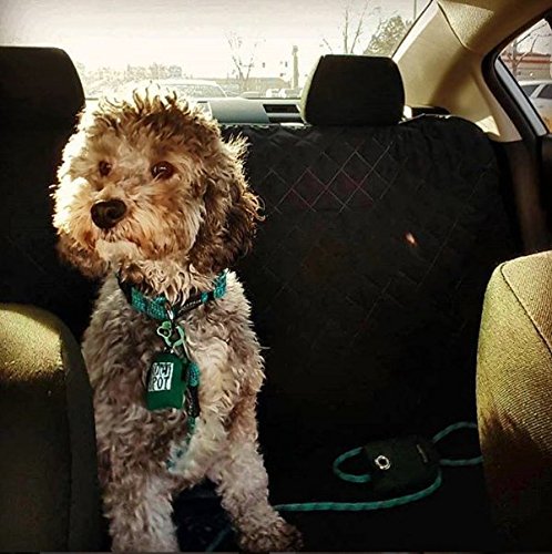 Quiet Spot Pet Tag Silencer (Orange)