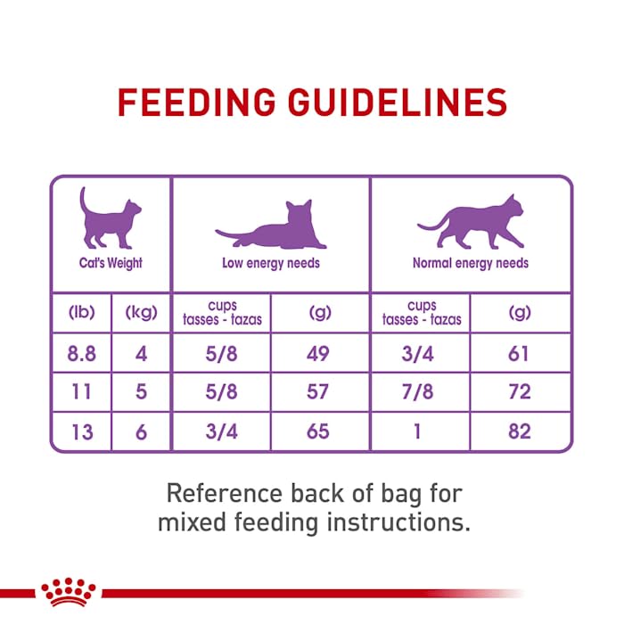 Royal Canin Appetite Control Spayed/Neutered Dry Adult Cat Food, 6 lb bag