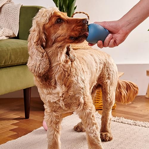 Beco Natural Rubber Bouncy, Chewy & Fillable Boredom Buster Dog Toy, Rolls & Wobbles Stuff with Multiple Fillable Holes, Blue
