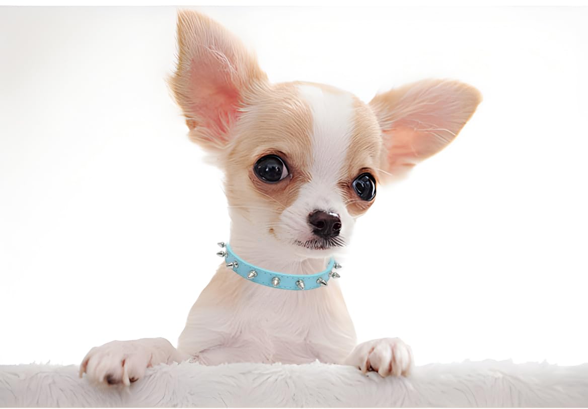 Spiked Dog Collar For Small Dogs, Soft Pu Leather Rivet Spike Stud Studded Cat Collars Adjustable For Xs Small Breed Pet Teacup
