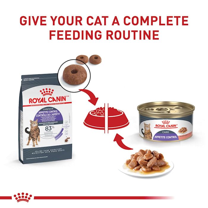 Royal Canin Appetite Control Spayed/Neutered Dry Adult Cat Food, 6 lb bag