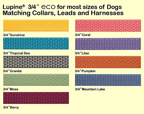 Lupinepet Eco 3/4' Tropical Sea 15-21' Step In Harness For Small Dogs