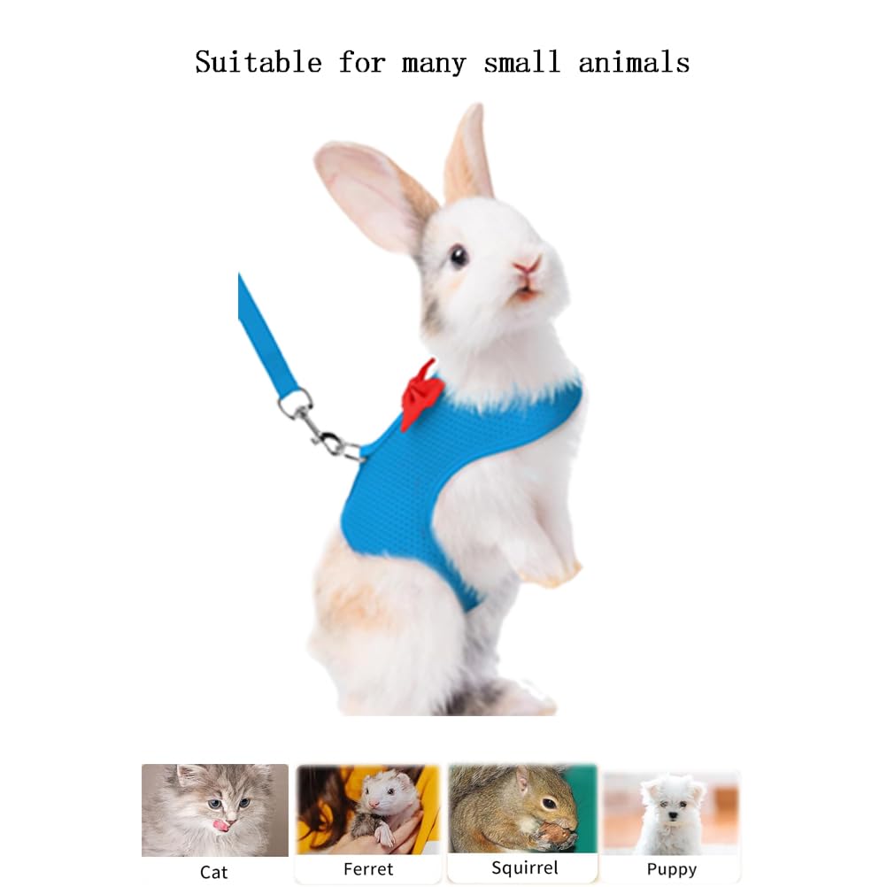 Rabbit Harness And Leash Set For Walking Escape Proof, Mesh Breathable Adjustable Rabbit Leash Camping Hiking Training Blue S (C