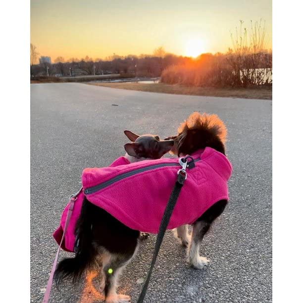 Gooby - Zip Up Fleece Vest, Fleece Jacket Sweater With Zipper Closure And Leash Ring, Pink, Medium