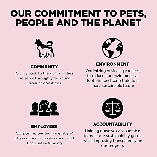 Go! Solutions Sensitivities Limited Ingredient Small Bites Salmon Dry Dog Food, 6 lb Bag - Grain-Free, Chicken-Free for Sensitive Stomachs