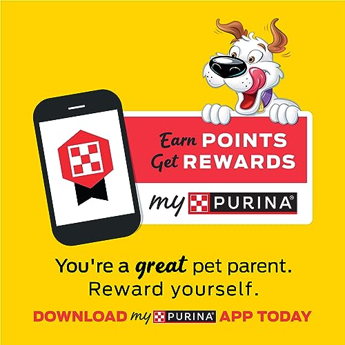 Purina Beggin Dog Treats, Fun Size With Bacon and Cheese Flavor - (6) 6 oz. Pouches