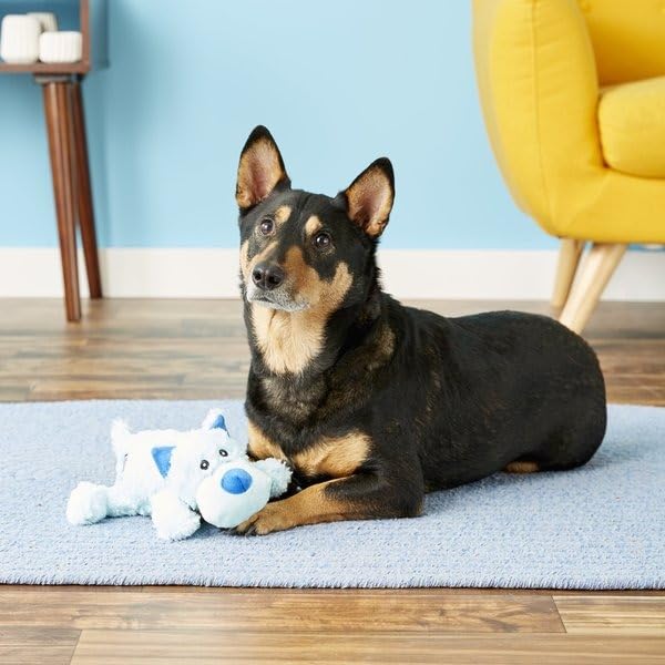 Kong Cozie Ali The Alligator Plush Dog Toy And Medium Cozie Baily The Blue Dog Toy Bundle