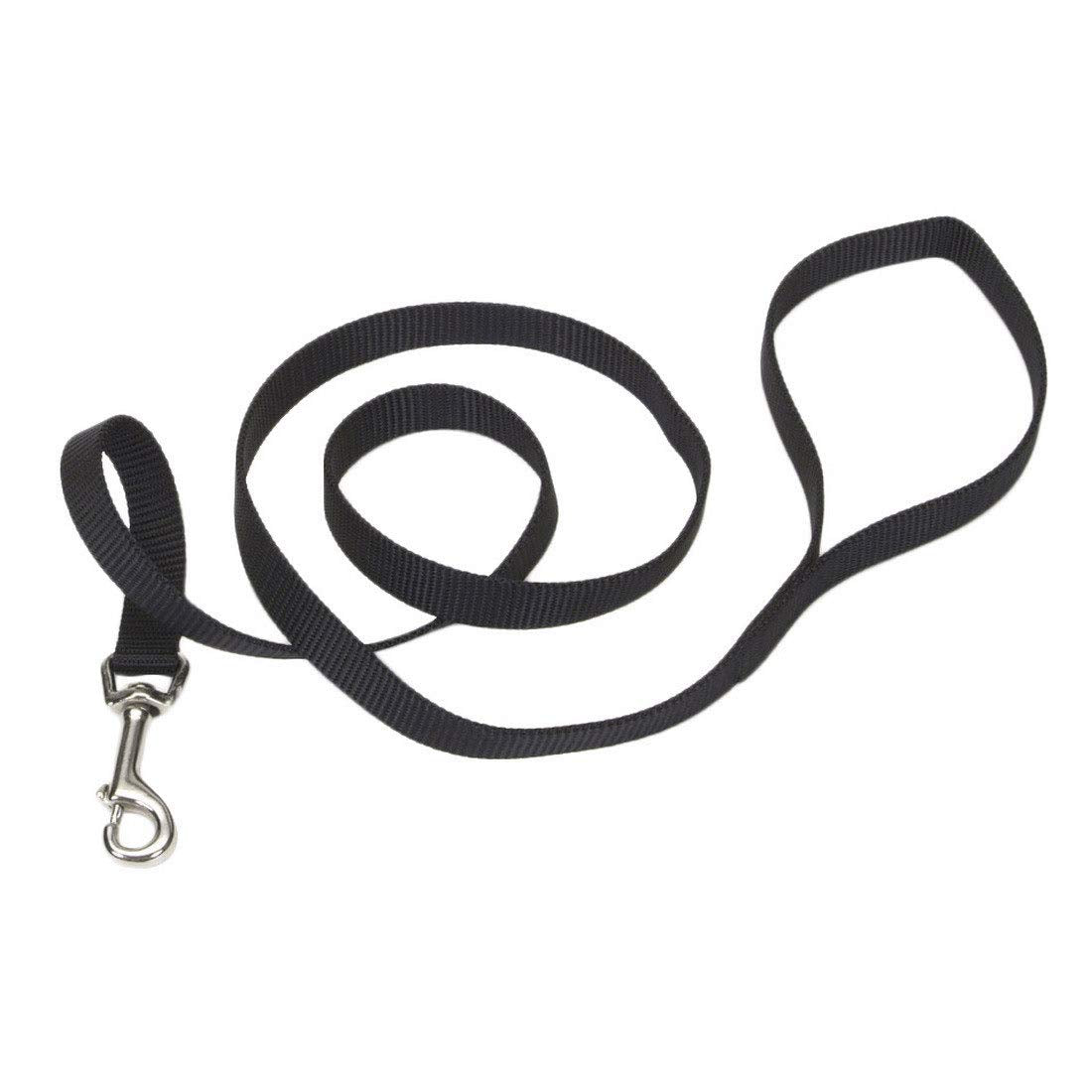 Coastal Pet Products Dcp406Pur Nylon Collar Lead For Pets, 5/8-Inch By 6-Feet, Purple