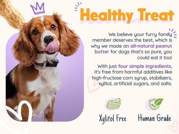 BUDDY BUDDER Red Velvet + Brownie Butter + Gimme SMores, 100% Natural Dog Peanut Butter, Healthy Dog Treat, Made in USA (Set of