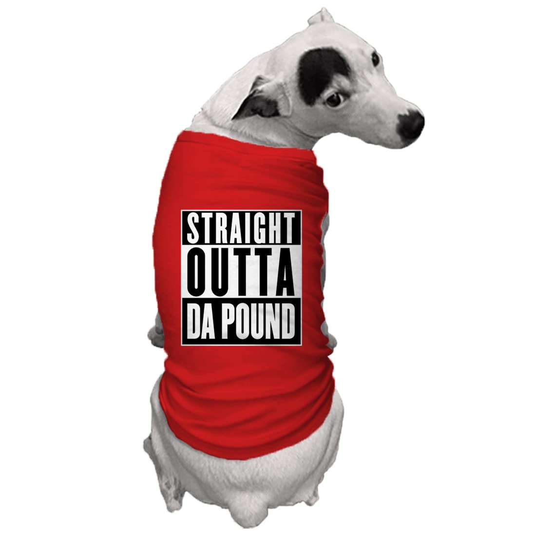 Straight Outta Da Pound - Rescue Dog Shirt (Red, Small)