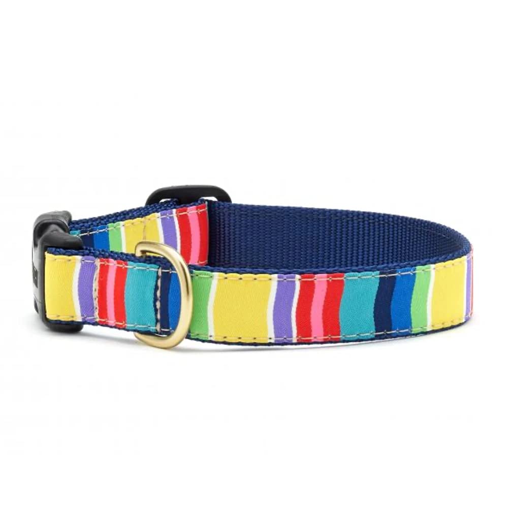 Up Country Dog Collar - Colorful Stripe/Medium Wide