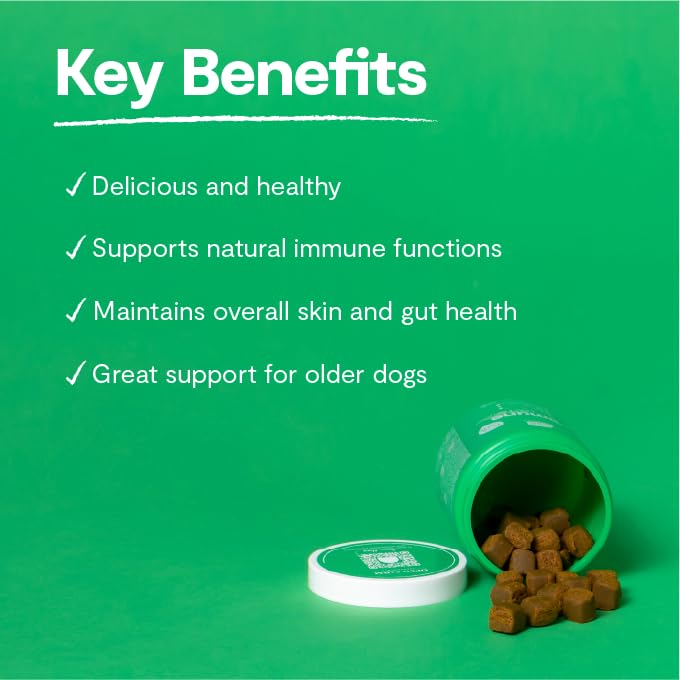 Open Farm Immune Chews - Plant-Based Dog Supplement with Probiotics for Immune & Skin Support, 90 Chews, Model 12704