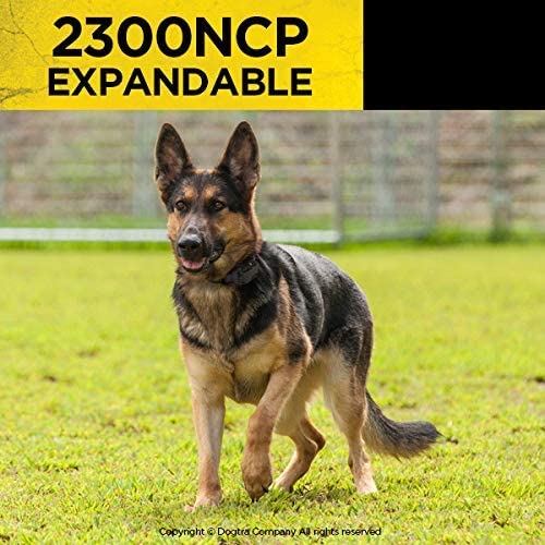 Dogtra 2300NCP Expandable 2-Dog Remote Training E-Collar, Black, Synthetic, 3/4-Mile Range