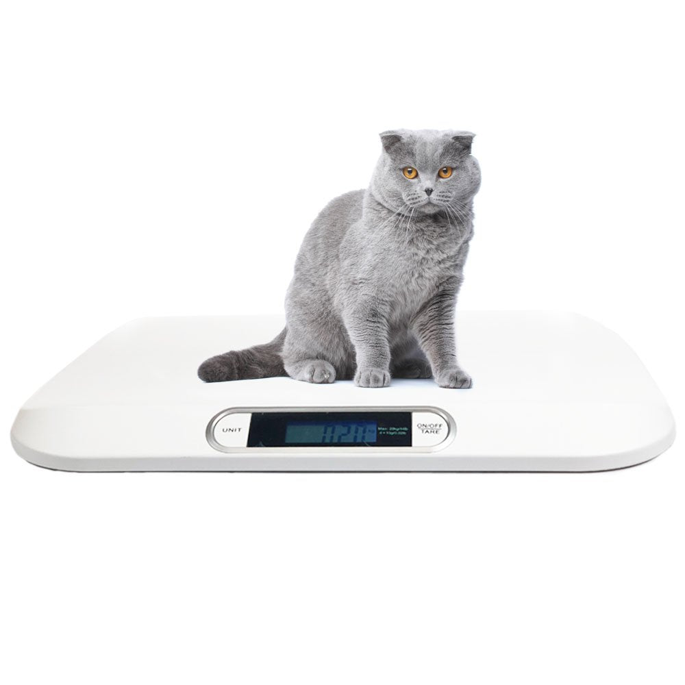 Digital Electronic Display Portable Dog Cat Scale, Weighs Pet Food, Up to 44 Pounds Capacity for Puppy, Small Animal, Kitten, Ra