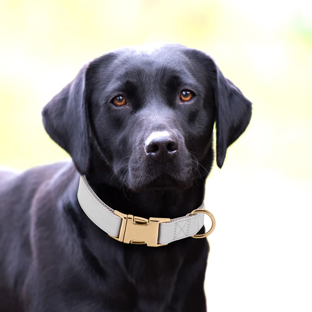Pet Artist Charming Nylon Dog Collar With Leather Soft Comfy Elegant Nylon Collars For Dogs Small Medium Large 4 Bright Solid Color For Choosing Blue Red Brown Grey (Grey,Neck Fit 16-27'')
