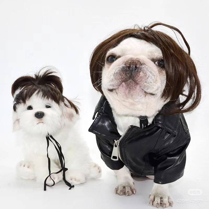 Spa Day Dog Costume Cosplay Wig, Curly Hair Pet Cat Wigs For Halloween Parties Dog Hats Wigs For Small Medium And Large Dogs Adjustable(Pet Head Circumference 8-27 Inches)