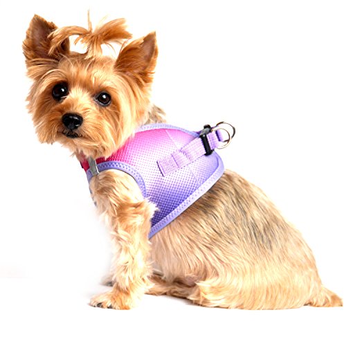Doggie Design Dog Harness - No Choke Dog Harness, Dog Vest, Mesh Polyester, Pet Harness, Simple Step In Design, Harness For Dog - Raspberry Sundae, 3Xl
