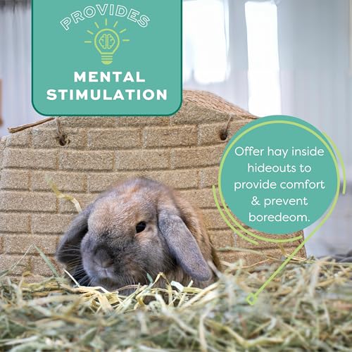 Oxbow Animal Health Western Timothy Hay- Veterinarian Recommended- Hay for Rabbits, Chinchillas, Guinea Pigs & Other Small Pets-